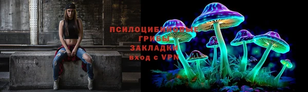 a pvp Абаза