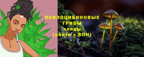 СК Абдулино