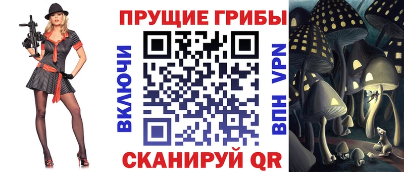 хочу   Юрга  omg зеркало  Галлюциногенные грибы GOLDEN TEACHER 
