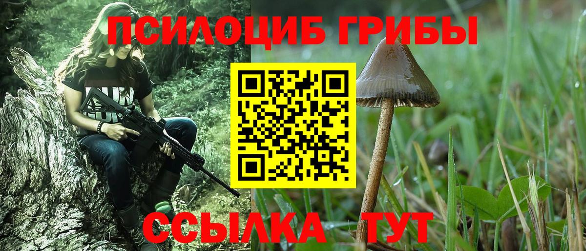 Юрга  Псилоцибиновые грибы MAGIC MUSHROOMS  наркотики  Вход с VPN 