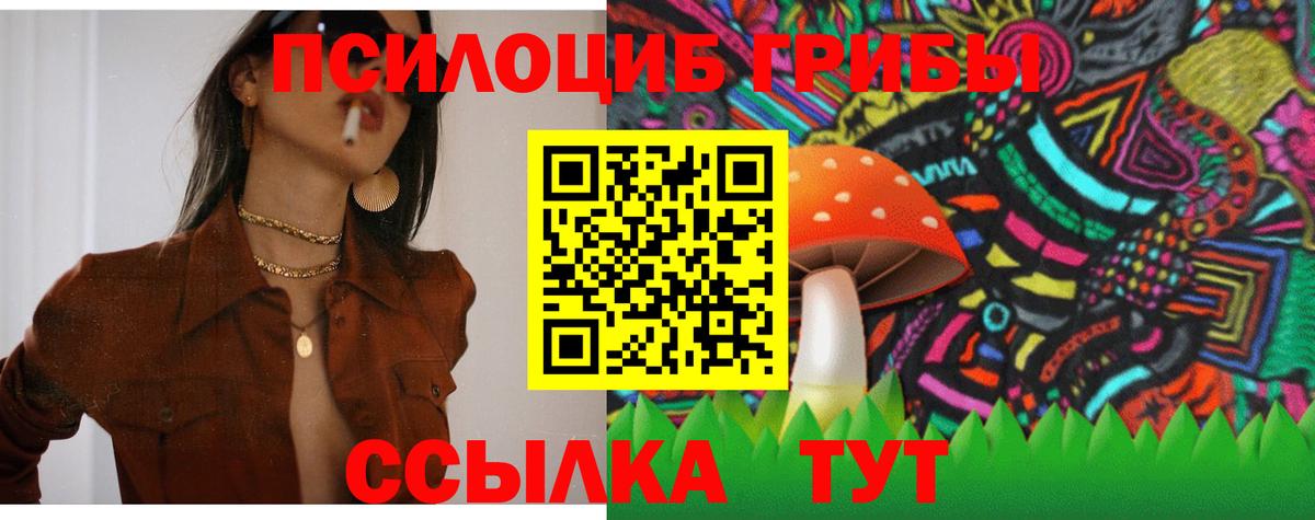 Псилоцибиновые грибы мухоморы Юрга